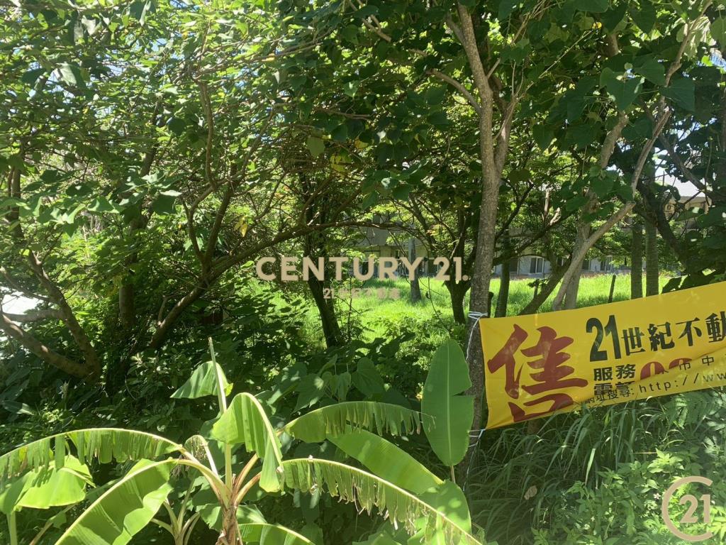 大武近公園建地