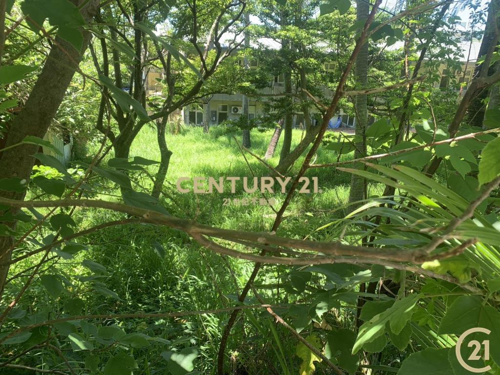 大武近公園建地