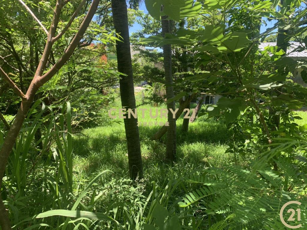 大武近公園建地