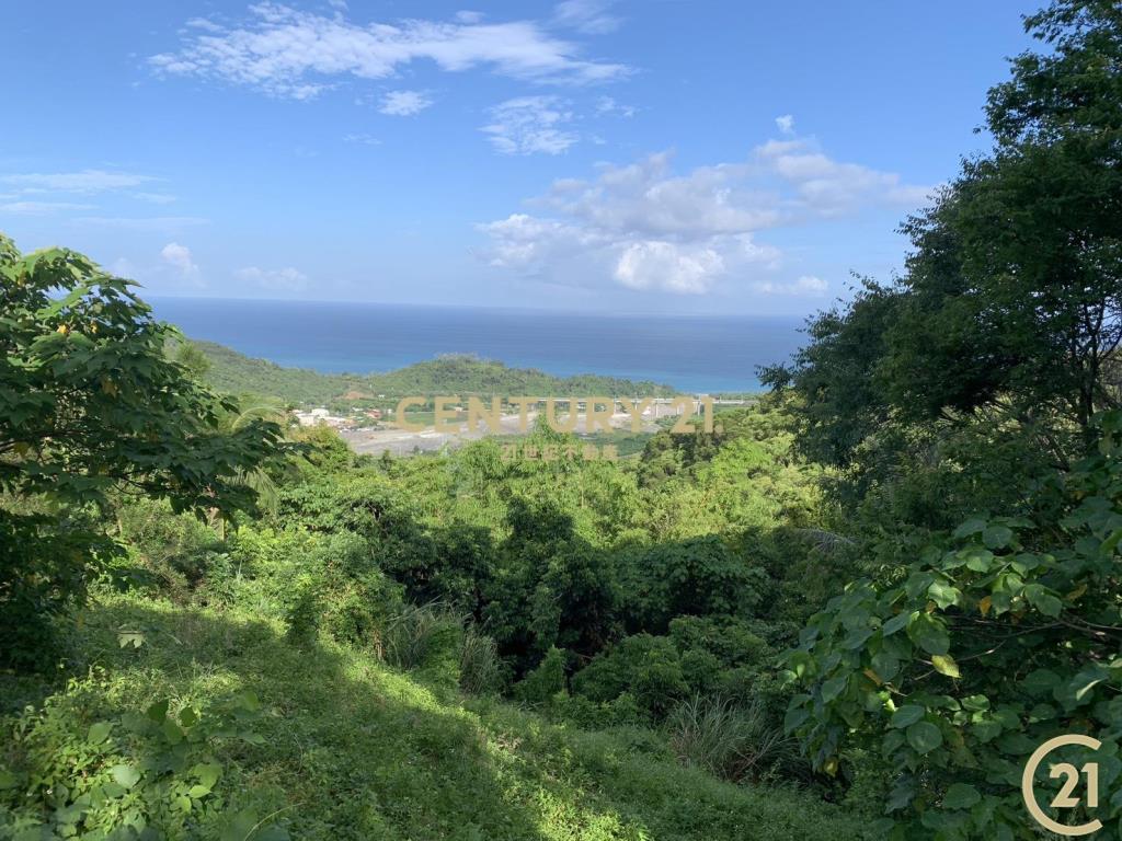 太麻里新興望海平台農地