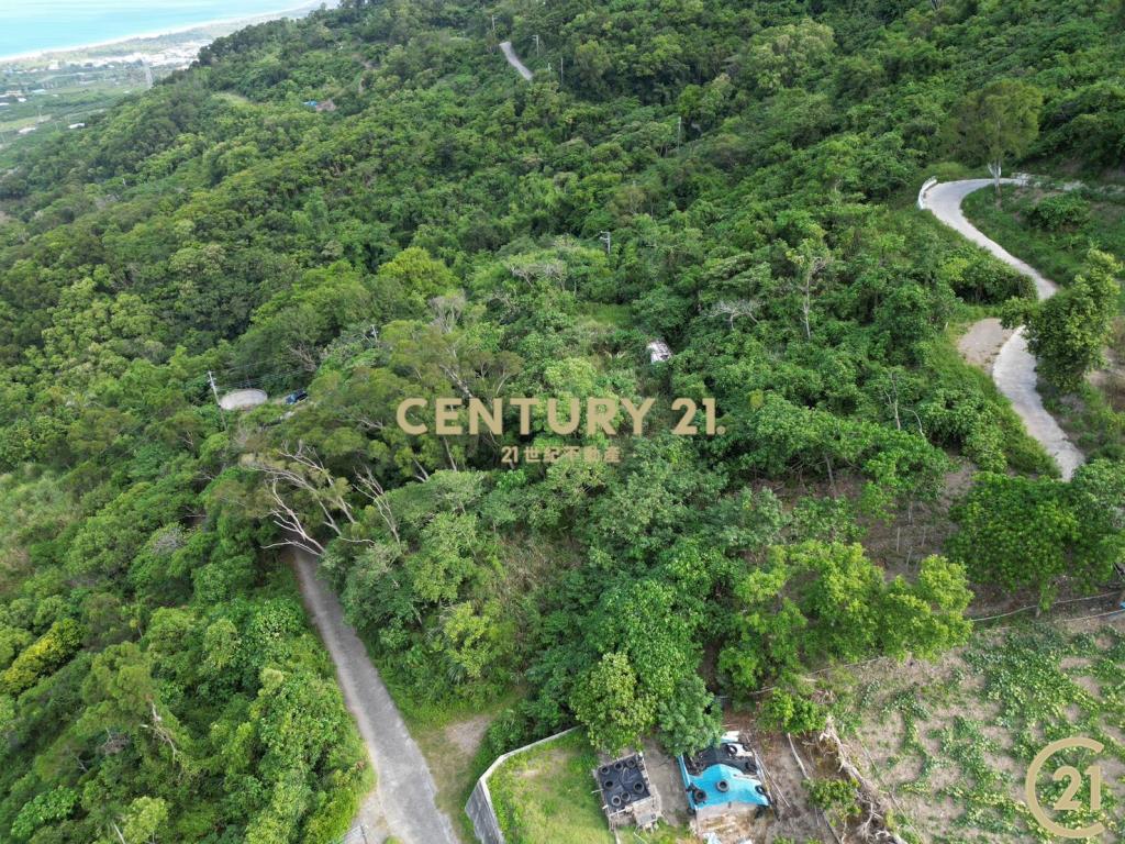 太麻里新興望海平台農地
