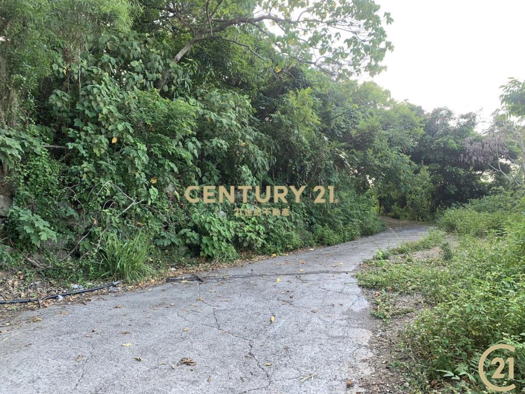 太麻里新興望海平台農地