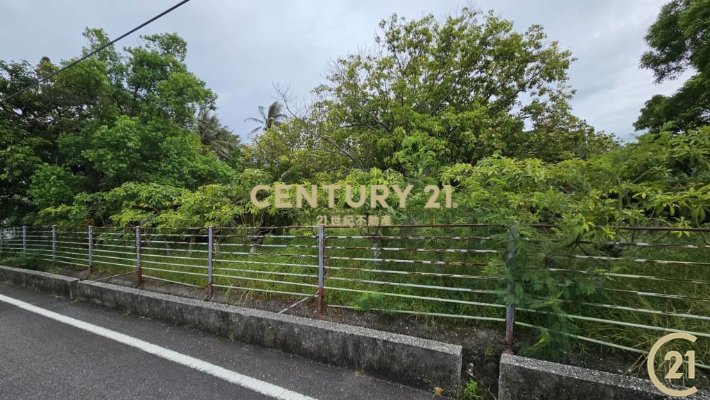 都蘭雙臨路5分7農地