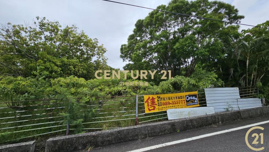 都蘭雙臨路5分7農地