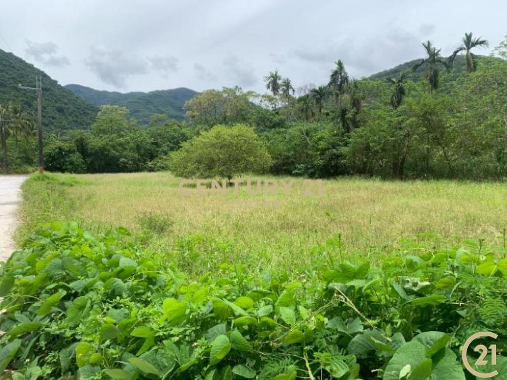 大武愛國蒲教會旁原保便宜農地