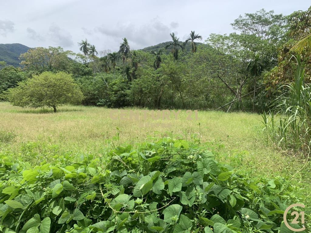 大武愛國蒲教會旁原保便宜農地