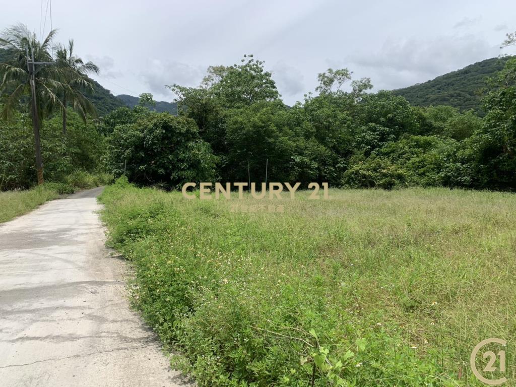 大武愛國蒲教會旁原保便宜農地