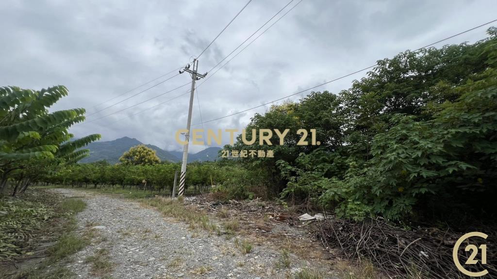 鹿野近千坪遊憩用地