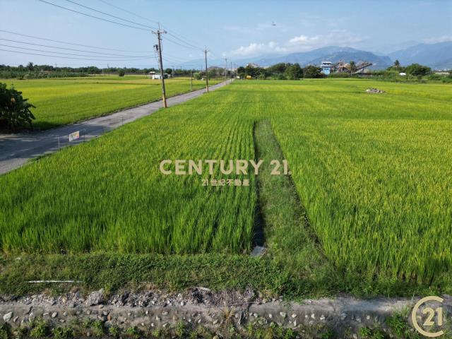 大豐雙面路原保農地