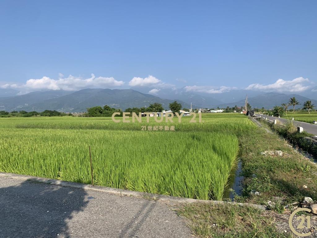 大豐雙面路原保農地