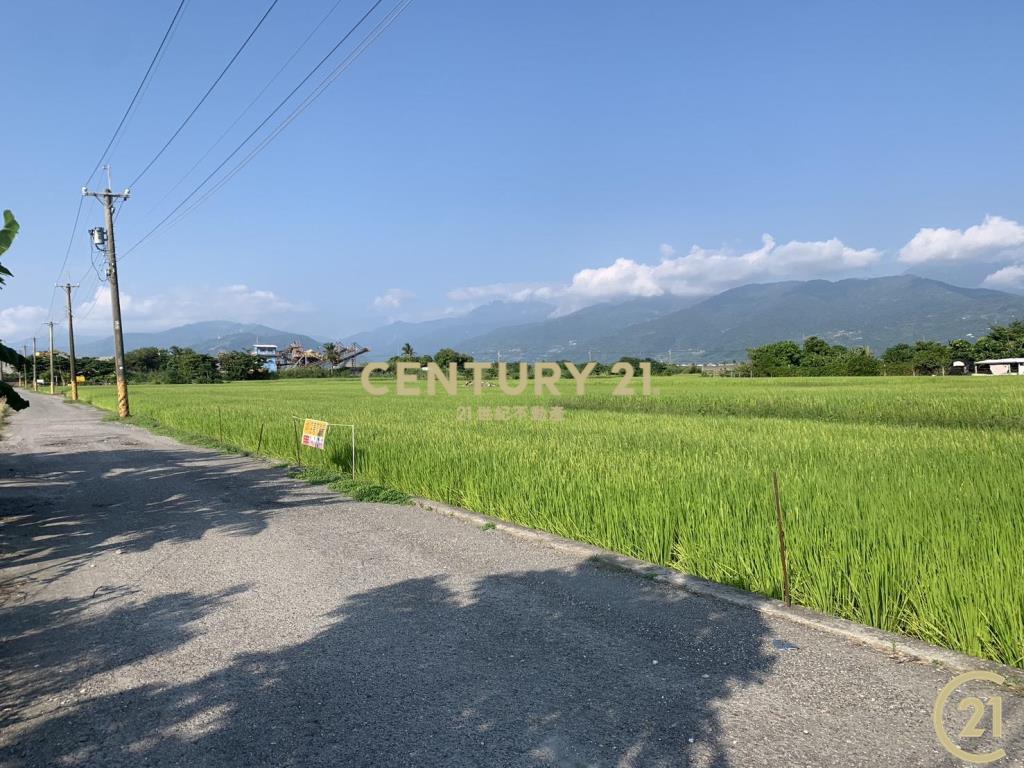 大豐雙面路原保農地