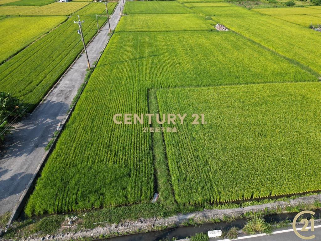 大豐雙面路原保農地
