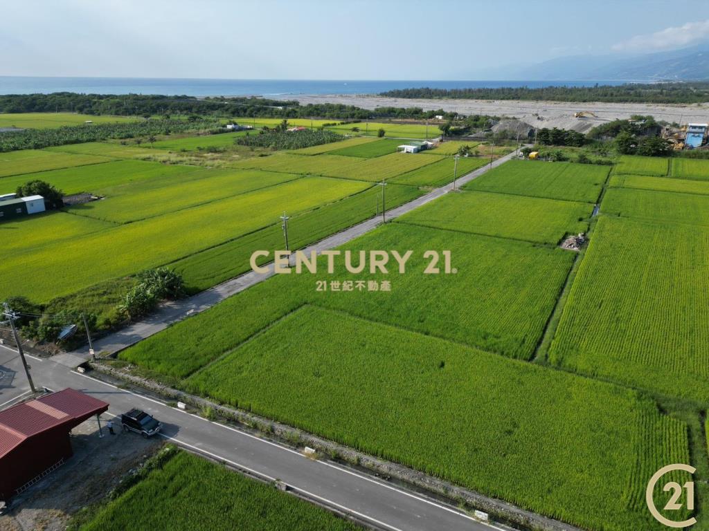 大豐雙面路原保農地