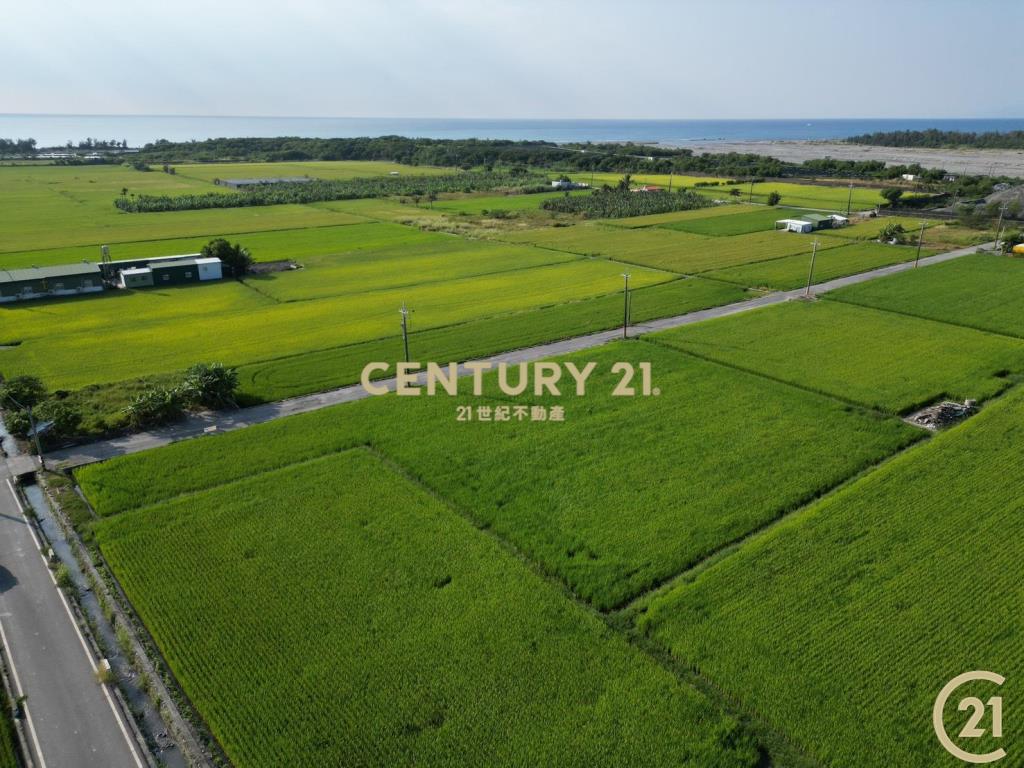 大豐雙面路原保農地