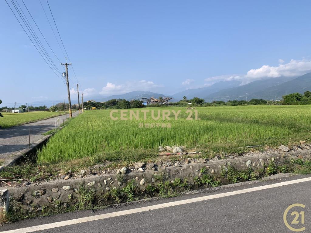 大豐雙面路原保農地