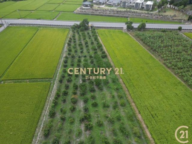 綺麗省道一般農業區
