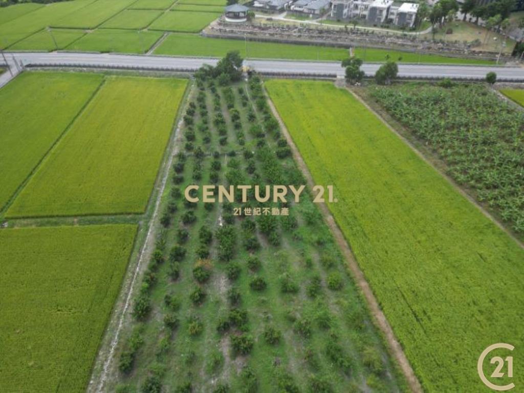 綺麗省道一般農業區