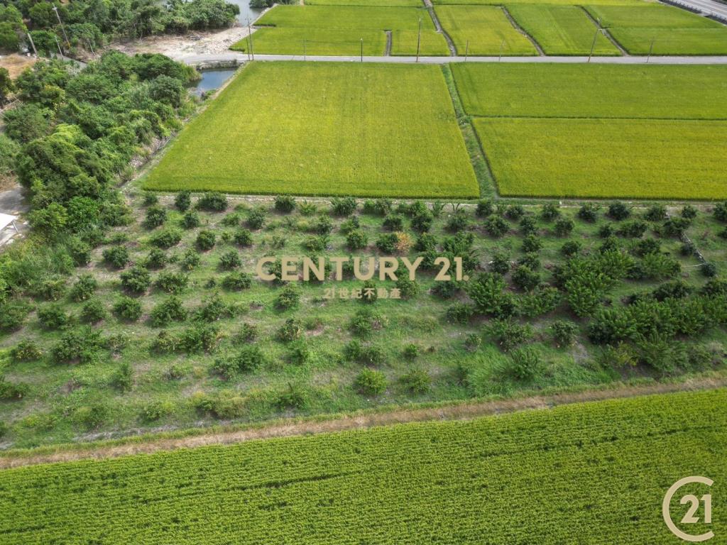 綺麗省道一般農業區