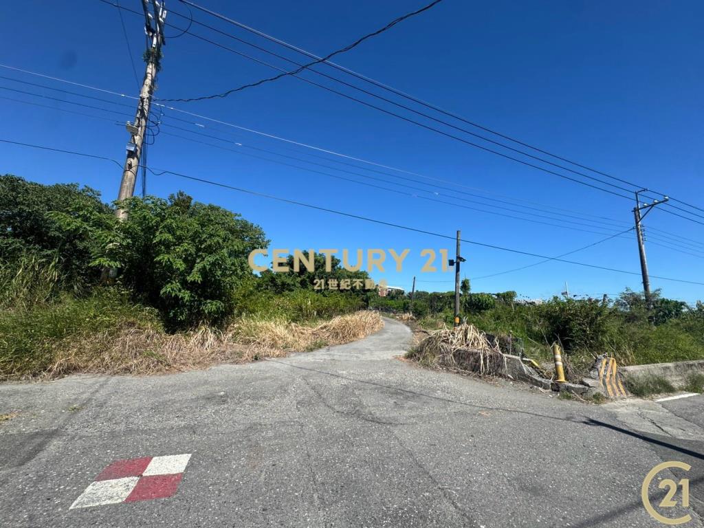 新園農地