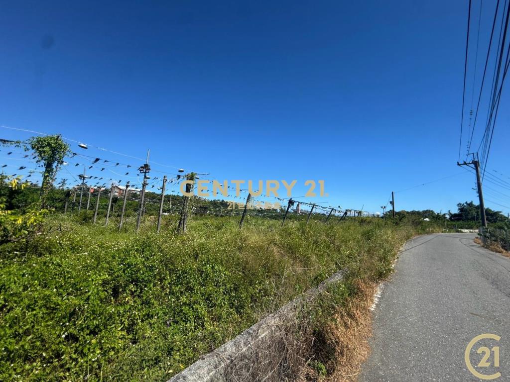 新園農地