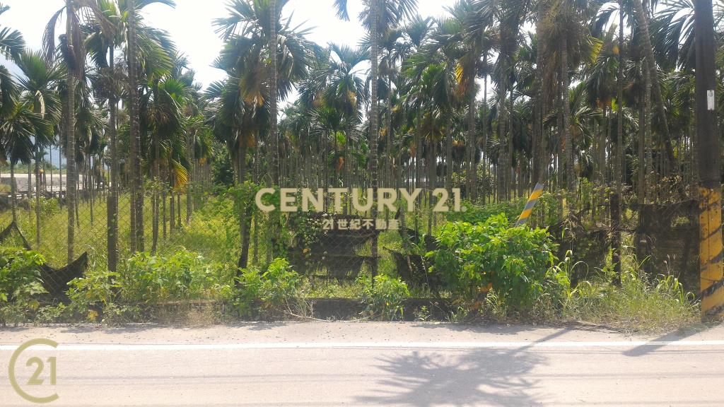 (635)屏東高樹27省道▲農地