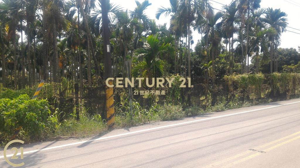 (635)屏東高樹27省道▲農地