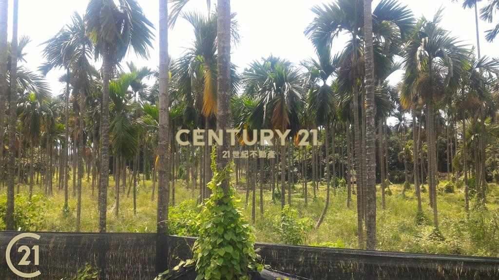 (635)屏東高樹27省道▲農地