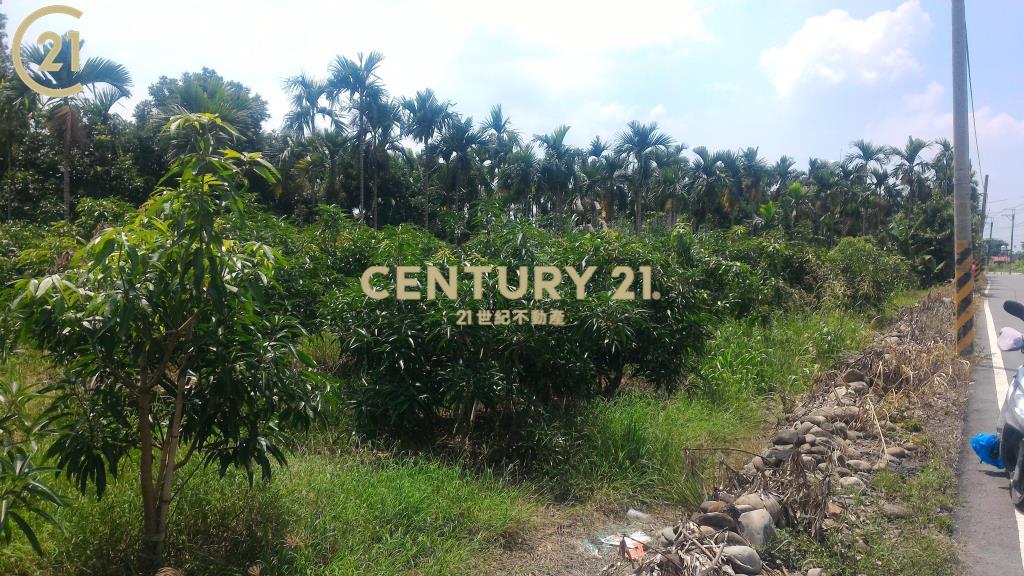屏東高樹環山優農地