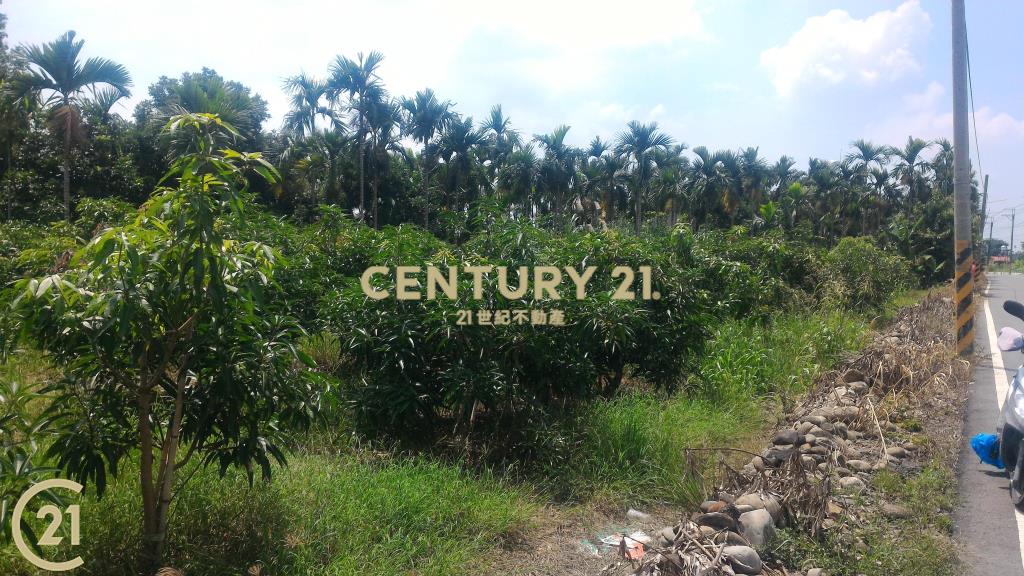 屏東高樹環山優農地