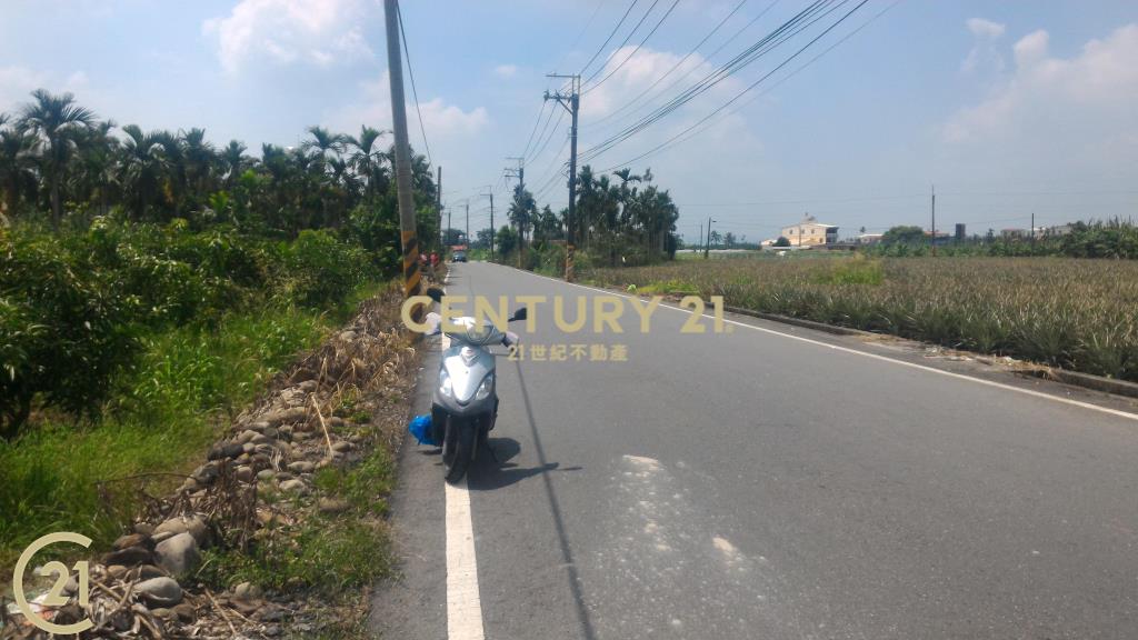 屏東高樹環山優農地