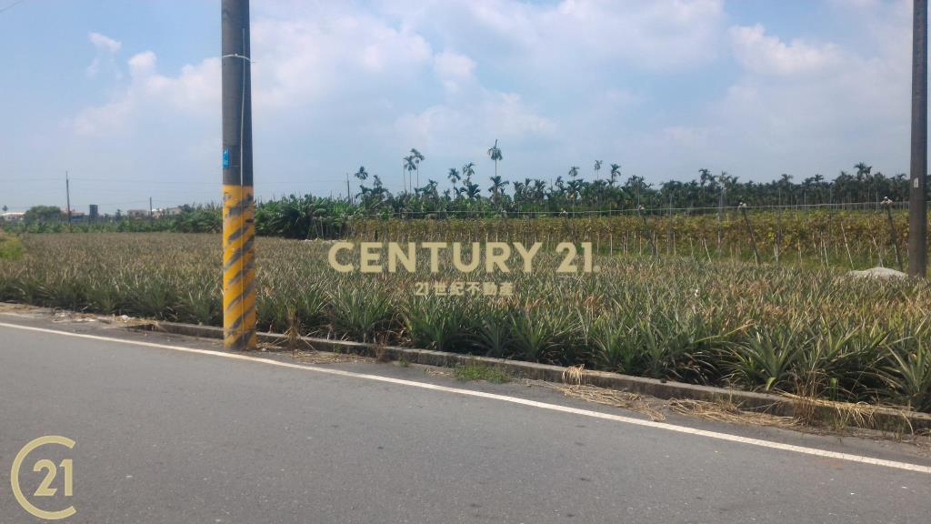 屏東高樹環山優農地