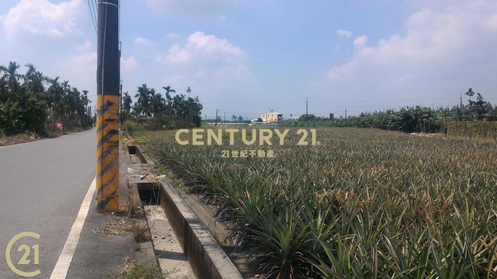 屏東高樹環山優農地