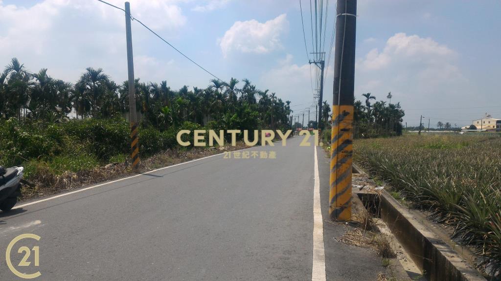 屏東高樹環山優農地