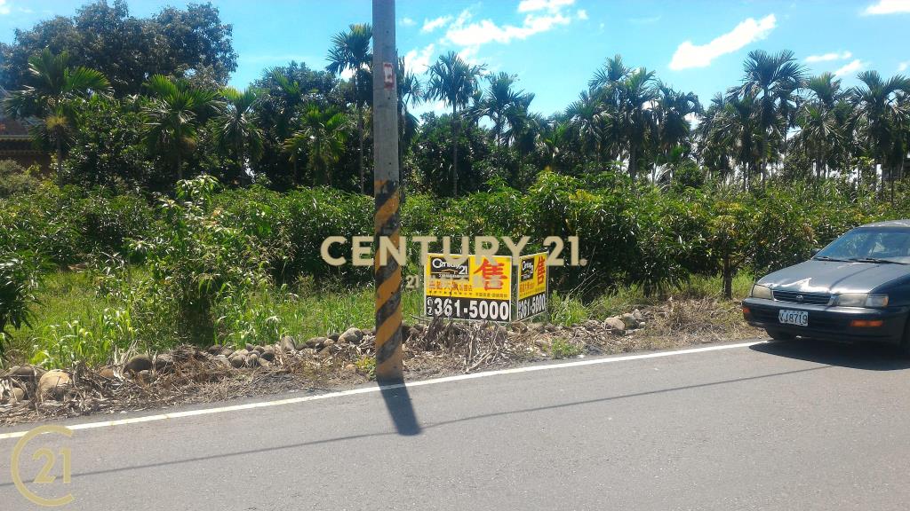 屏東高樹環山優農地