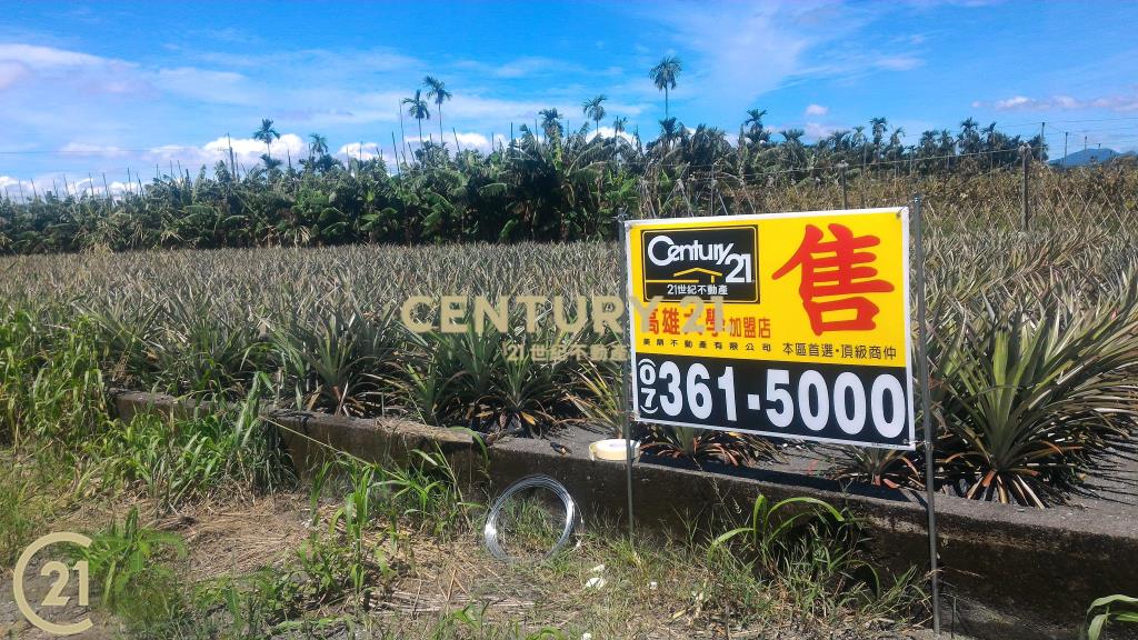 屏東高樹環山優農地