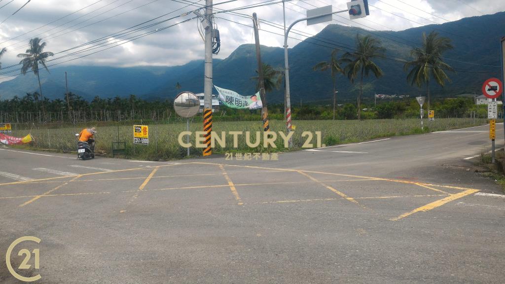 屏東高樹環山優農地