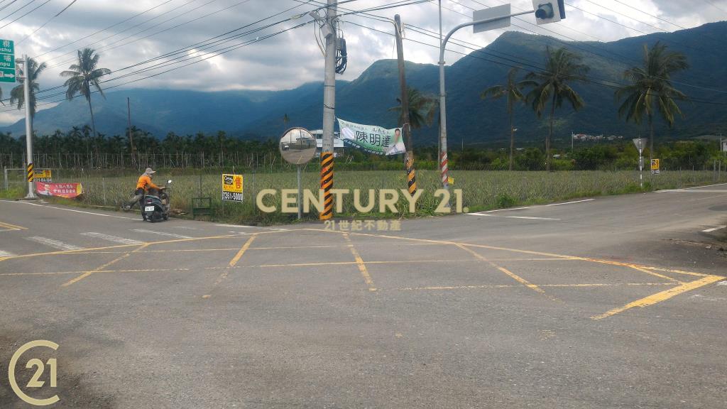 屏東高樹環山優農地