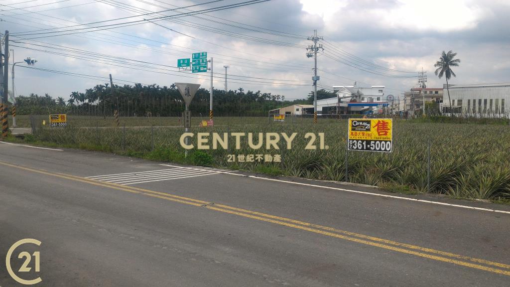 屏東高樹環山優農地