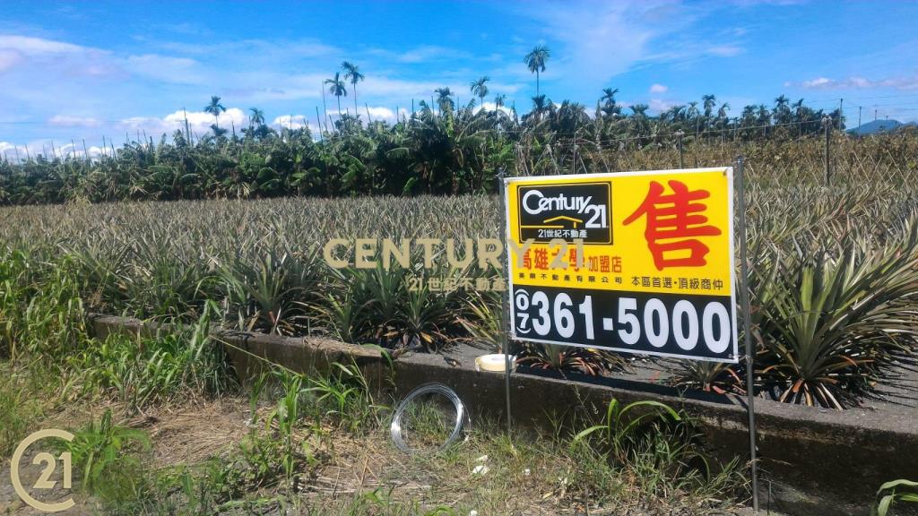 屏東高樹環山優農地