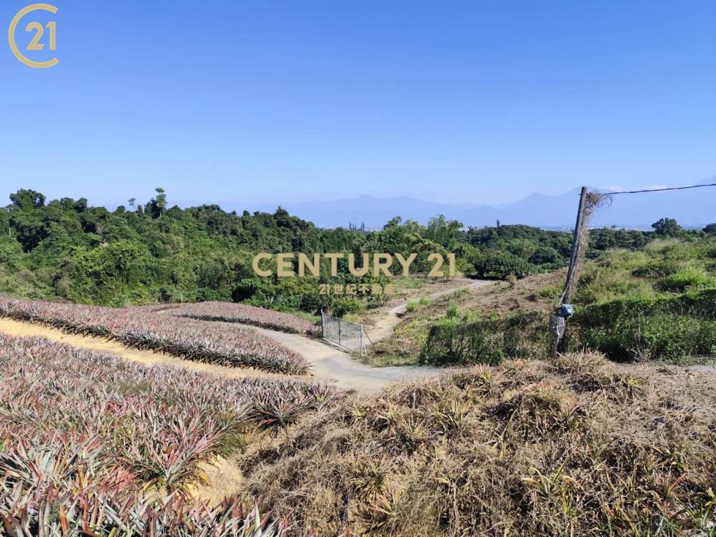 大樹景觀農地+農舍