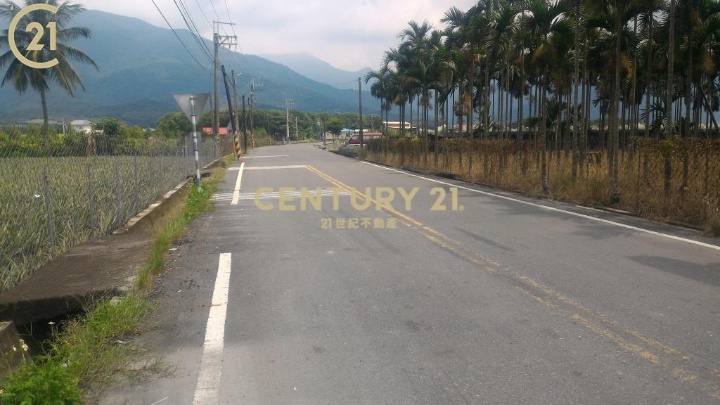 (專約)屏東高樹泰山三角窗農地