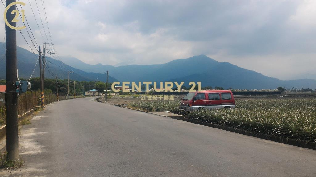 (專約)屏東高樹泰山三角窗農地