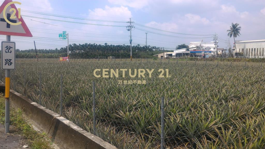 (專約)屏東高樹泰山三角窗農地