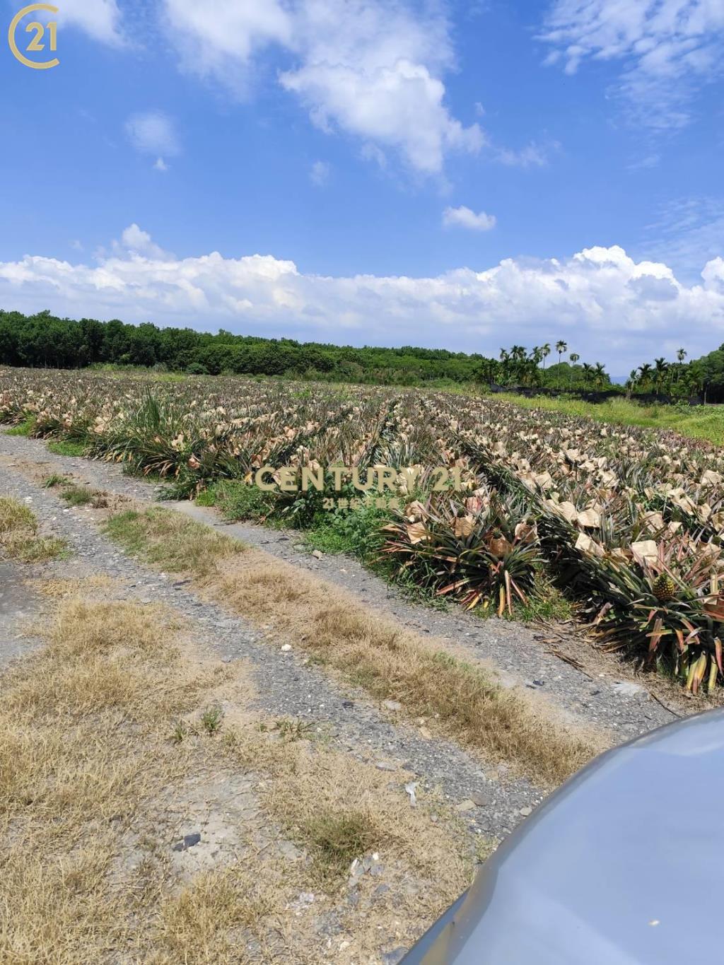 高樹大面寬農地