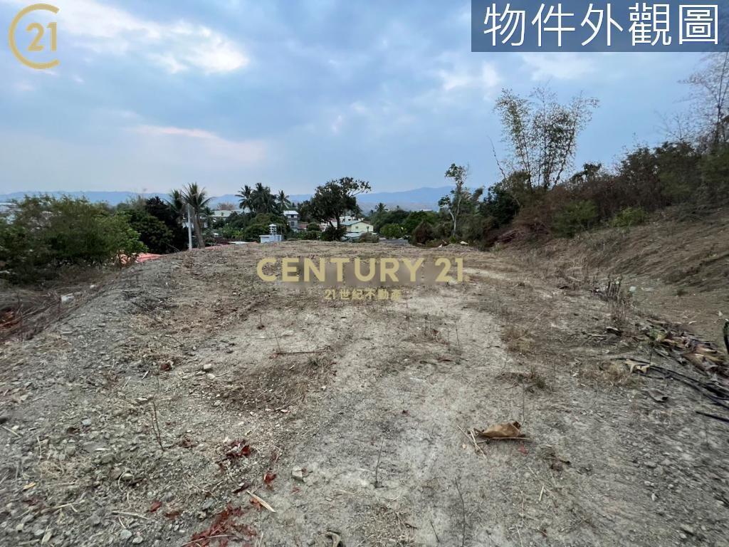 杉林景觀鄉乙建〈265坪〉