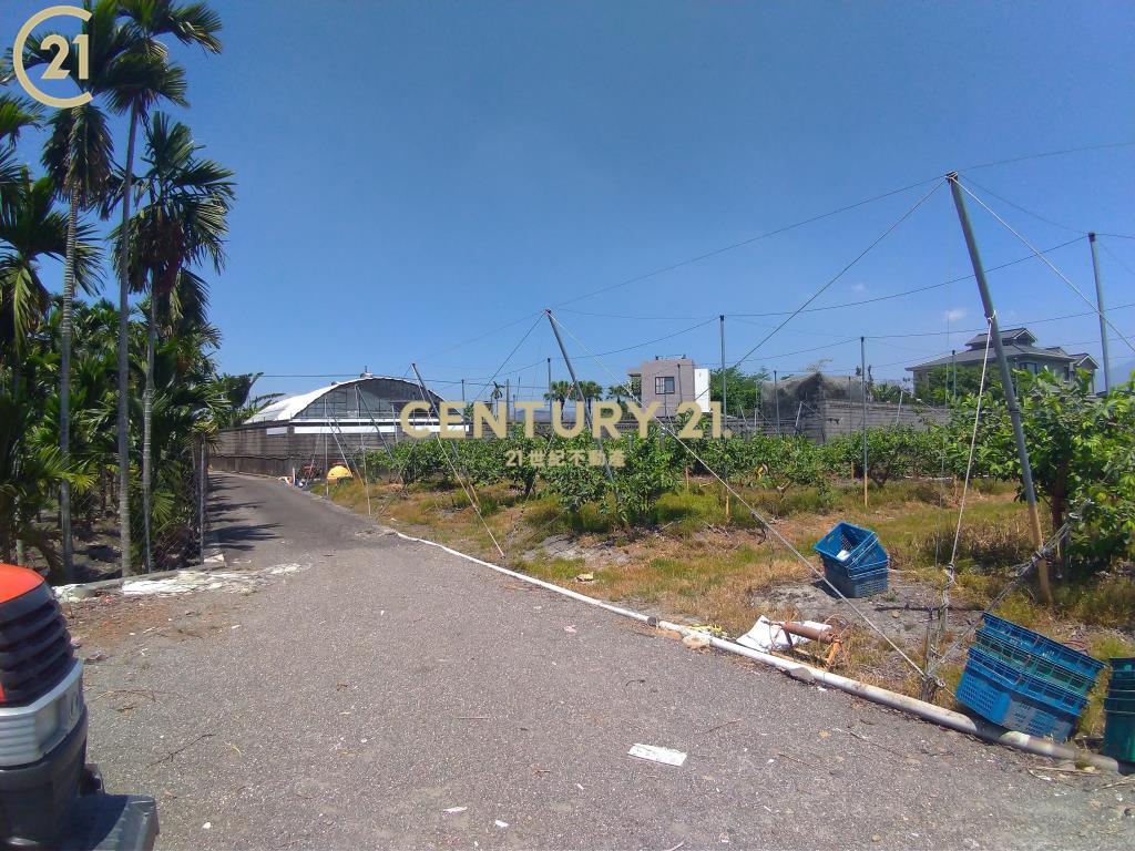 高樹超值美農地〈2.86分〉