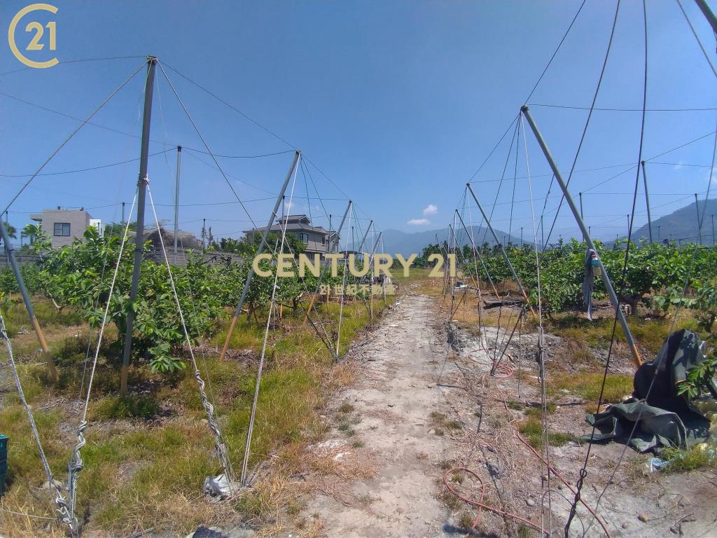 高樹超值美農地〈2.86分〉