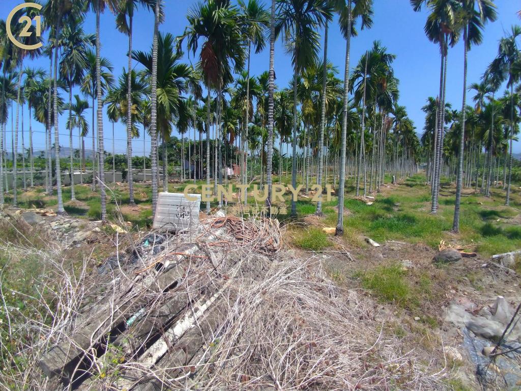 高樹超值美農地〈2.86分〉