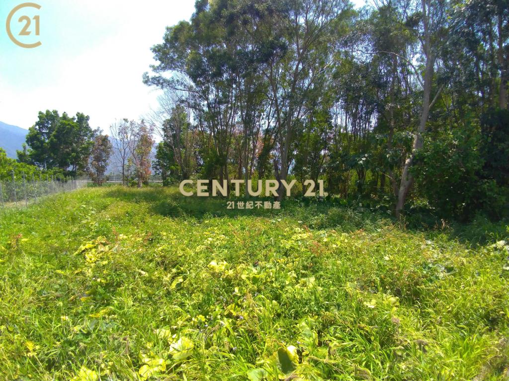 高樹富貴小農地〈230坪〉