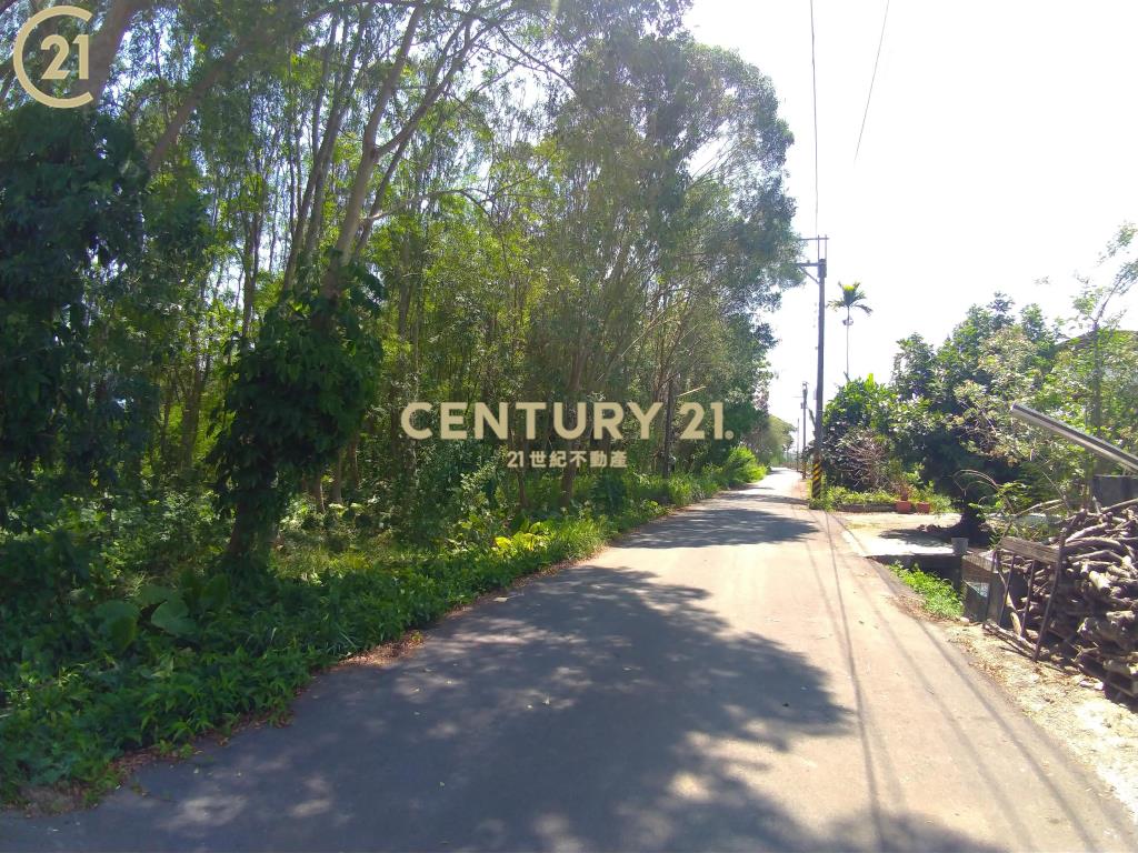 高樹富貴小農地〈230坪〉